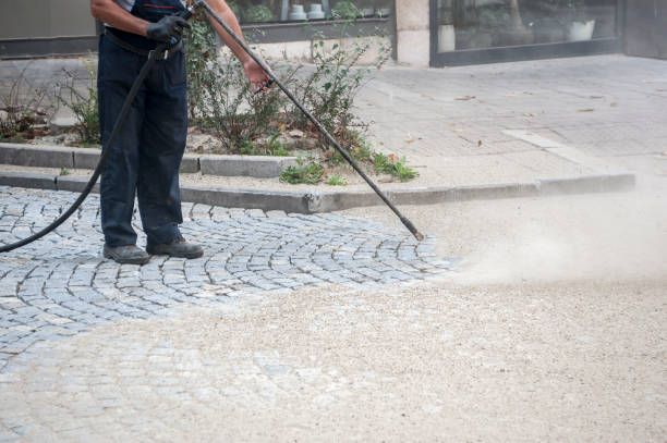 Best Building Exterior Washing  in Pembroke, GA